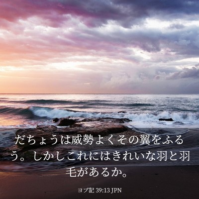 Picture 03 - ヨブ記 39:13 JPN - だちょうは威勢よくその翼をふるう - Bible Verse Picture