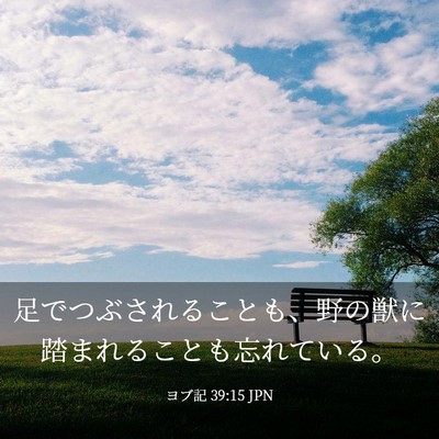 Picture 03 - ヨブ記 39:15 JPN - 足でつぶされることも、野の獣に踏 - Bible Verse Picture