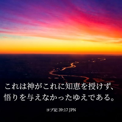 Picture 03 - ヨブ記 39:17 JPN - これは神がこれに知恵を授けず、悟 - Bible Verse Picture
