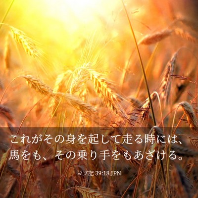 Picture 03 - ヨブ記 39:18 JPN - これがその身を起して走る時には、 - Bible Verse Picture