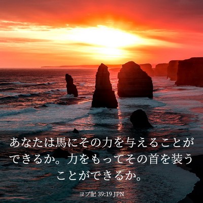 Picture 03 - ヨブ記 39:19 JPN - あなたは馬にその力を与えることが - Bible Verse Picture