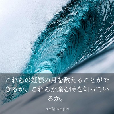 Picture 03 - ヨブ記 39:2 JPN - これらの妊娠の月を数えることがで - Bible Verse Picture