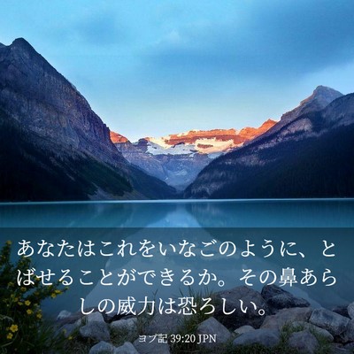 Picture 03 - ヨブ記 39:20 JPN - あなたはこれをいなごのように、と - Bible Verse Picture