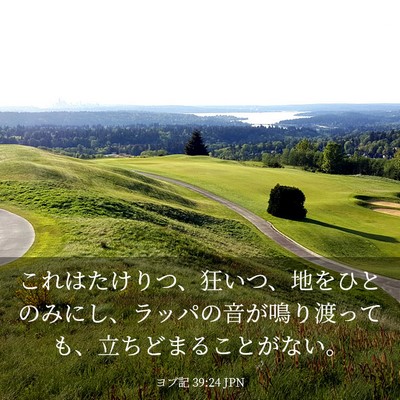Picture 03 - ヨブ記 39:24 JPN - これはたけりつ、狂いつ、地をひと - Bible Verse Picture