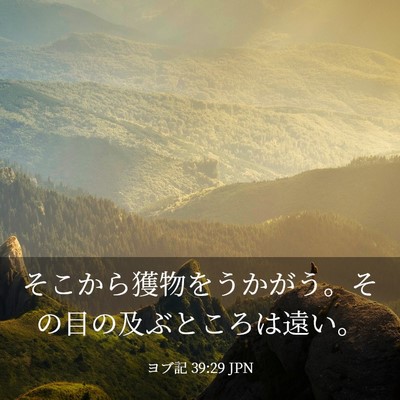 Picture 03 - ヨブ記 39:29 JPN - そこから獲物をうかがう。その目の - Bible Verse Picture
