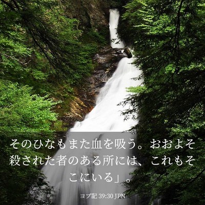 Picture 03 - ヨブ記 39:30 JPN - そのひなもまた血を吸う。おおよそ - Bible Verse Picture
