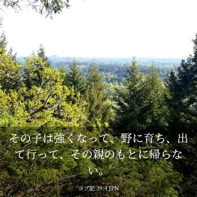 Picture 03 - ヨブ記 39:4 JPN - その子は強くなって、野に育ち、出 - Bible Verse Picture