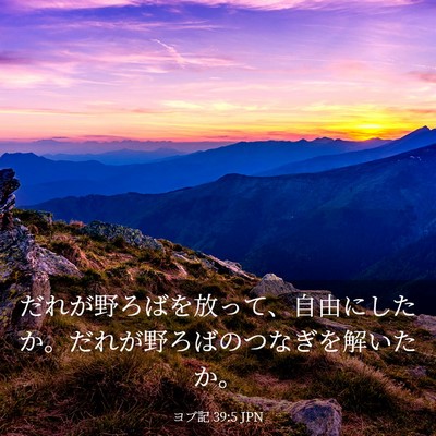 Picture 03 - ヨブ記 39:5 JPN - だれが野ろばを放って、自由にした - Bible Verse Picture