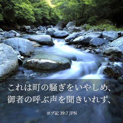 Picture 03 - ヨブ記 39:7 JPN - これは町の騒ぎをいやしめ、御者の - Bible Verse Picture