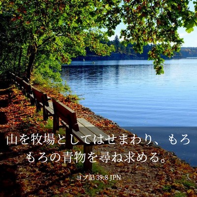 Picture 03 - ヨブ記 39:8 JPN - 山を牧場としてはせまわり、もろも - Bible Verse Picture
