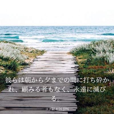 Picture 03 - ヨブ記 4:20 JPN - 彼らは朝から夕までの間に打ち砕か - Bible Verse Picture