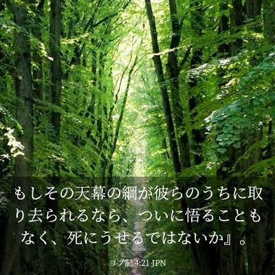 Picture 03 - ヨブ記 4:21 JPN - もしその天幕の綱が彼らのうちに取 - Bible Verse Picture