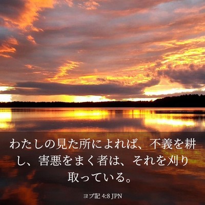 Picture 03 - ヨブ記 4:8 JPN - わたしの見た所によれば、不義を耕 - Bible Verse Picture