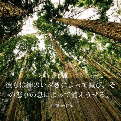 Picture 03 - ヨブ記 4:9 JPN - 彼らは神のいぶきによって滅び、そ - Bible Verse Picture