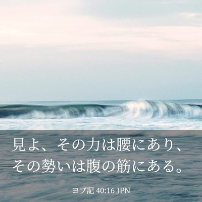 Picture 03 - ヨブ記 40:16 JPN - 見よ、その力は腰にあり、その勢い - Bible Verse Picture