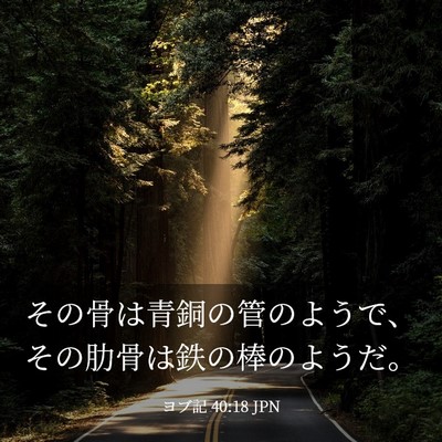Picture 03 - ヨブ記 40:18 JPN - その骨は青銅の管のようで、その肋 - Bible Verse Picture