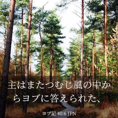 Picture 03 - ヨブ記 40:6 JPN - 主はまたつむじ風の中からヨブに答 - Bible Verse Picture