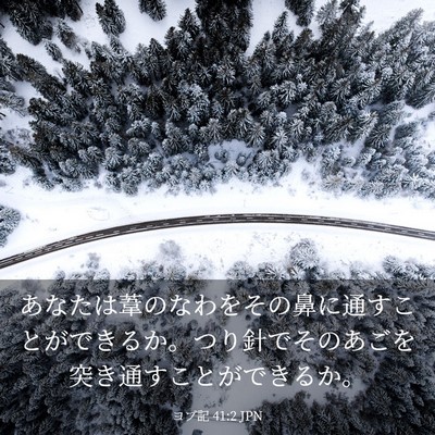 Picture 03 - ヨブ記 41:2 JPN - あなたは葦のなわをその鼻に通すこ - Bible Verse Picture