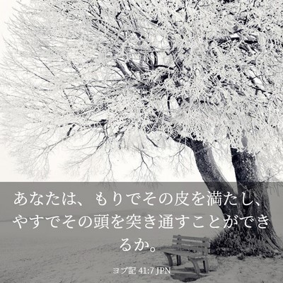 Picture 03 - ヨブ記 41:7 JPN - あなたは、もりでその皮を満たし、 - Bible Verse Picture