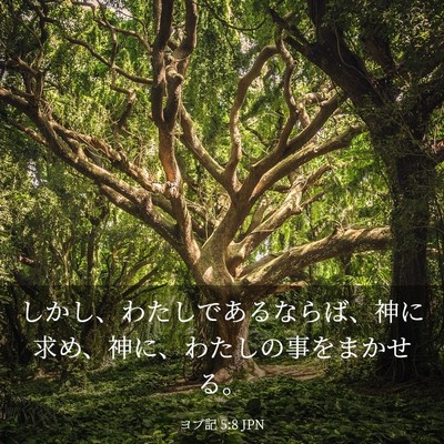 Picture 03 - ヨブ記 5:8 JPN - しかし、わたしであるならば、神に - Bible Verse Picture