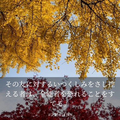 Picture 03 - ヨブ記 6:14 JPN - その友に対するいつくしみをさし控 - Bible Verse Picture
