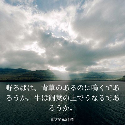 Picture 03 - ヨブ記 6:5 JPN - 野ろばは、青草のあるのに鳴くであ - Bible Verse Picture
