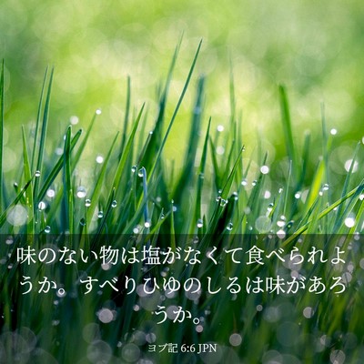 Picture 03 - ヨブ記 6:6 JPN - 味のない物は塩がなくて食べられよ - Bible Verse Picture