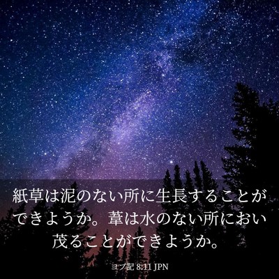 Picture 03 - ヨブ記 8:11 JPN - 紙草は泥のない所に生長することが - Bible Verse Picture