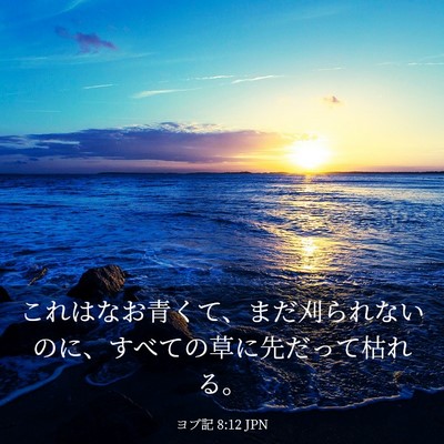 Picture 03 - ヨブ記 8:12 JPN - これはなお青くて、まだ刈られない - Bible Verse Picture