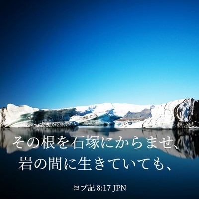 Picture 03 - ヨブ記 8:17 JPN - その根を石塚にからませ、岩の間に - Bible Verse Picture