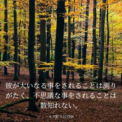Picture 03 - ヨブ記 9:10 JPN - 彼が大いなる事をされることは測り - Bible Verse Picture