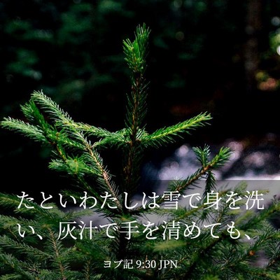 Picture 03 - ヨブ記 9:30 JPN - たといわたしは雪で身を洗い、灰汁 - Bible Verse Picture