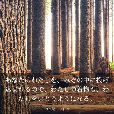 Picture 03 - ヨブ記 9:31 JPN - あなたはわたしを、みぞの中に投げ - Bible Verse Picture