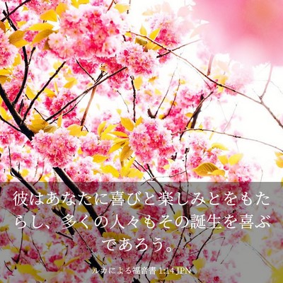 Picture 03 - ルカによる福音書 1:14 JPN - 彼はあなたに喜びと楽しみとをもた - Bible Verse Picture