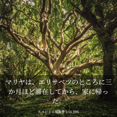 Picture 03 - ルカによる福音書 1:56 JPN - マリヤは、エリサベツのところに三 - Bible Verse Picture