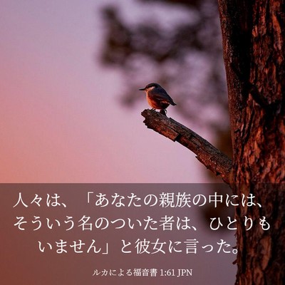 Picture 03 - ルカによる福音書 1:61 JPN - 人々は、「あなたの親族の中には、 - Bible Verse Picture