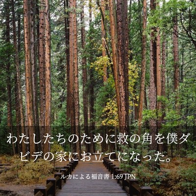Picture 03 - ルカによる福音書 1:69 JPN - わたしたちのために救の角を僕ダビ - Bible Verse Picture