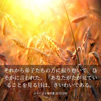 Picture 03 - ルカによる福音書 10:23 JPN - それから弟子たちの方に振りむいて - Bible Verse Picture