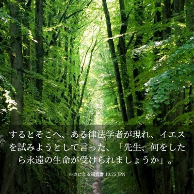 Picture 03 - ルカによる福音書 10:25 JPN - するとそこへ、ある律法学者が現れ - Bible Verse Picture