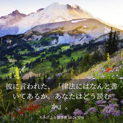 Picture 03 - ルカによる福音書 10:26 JPN - 彼に言われた、「律法にはなんと書 - Bible Verse Picture