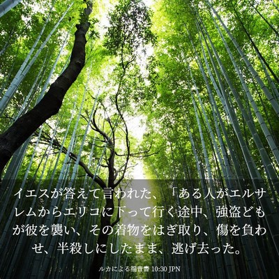 Picture 03 - ルカによる福音書 10:30 JPN - イエスが答えて言われた、「ある人 - Bible Verse Picture