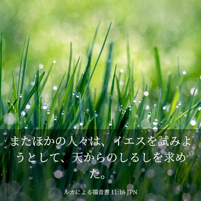Picture 03 - ルカによる福音書 11:16 JPN - またほかの人々は、イエスを試みよ - Bible Verse Picture