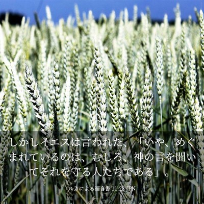 Picture 03 - ルカによる福音書 11:28 JPN - しかしイエスは言われた、「いや、 - Bible Verse Picture