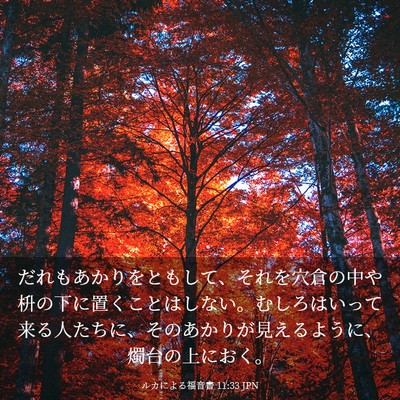 Picture 03 - ルカによる福音書 11:33 JPN - だれもあかりをともして、それを穴 - Bible Verse Picture