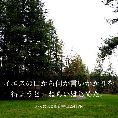 Picture 03 - ルカによる福音書 11:54 JPN - イエスの口から何か言いがかりを得 - Bible Verse Picture