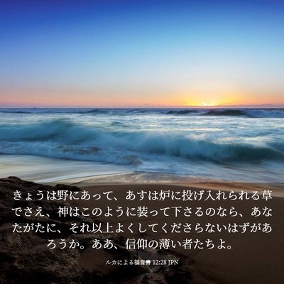 Picture 03 - ルカによる福音書 12:28 JPN - きょうは野にあって、あすは炉に投 - Bible Verse Picture