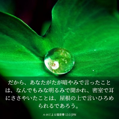 Picture 03 - ルカによる福音書 12:3 JPN - だから、あなたがたが暗やみで言っ - Bible Verse Picture