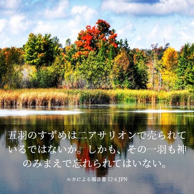 Picture 03 - ルカによる福音書 12:6 JPN - 五羽のすずめは二アサリオンで売ら - Bible Verse Picture