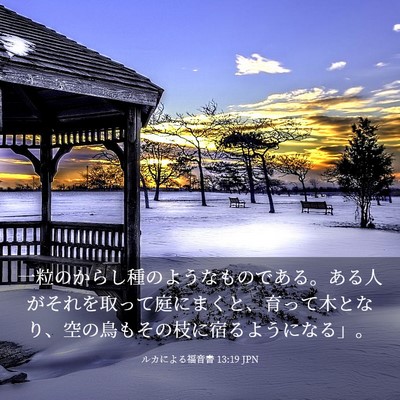 Picture 03 - ルカによる福音書 13:19 JPN - 一粒のからし種のようなものである - Bible Verse Picture