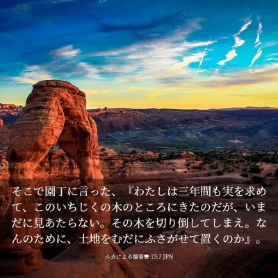 Picture 03 - ルカによる福音書 13:7 JPN - そこで園丁に言った、『わたしは三 - Bible Verse Picture
